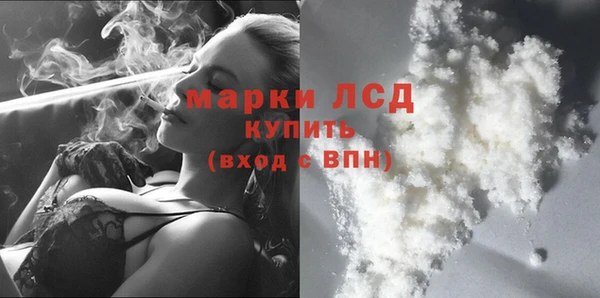 стафф Алзамай